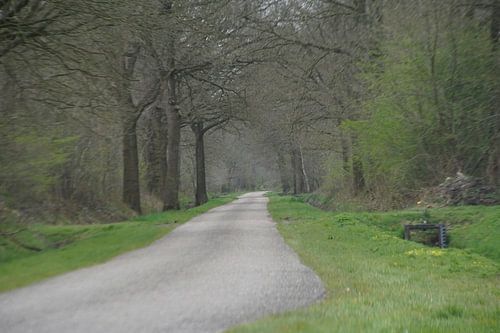 away through the fresh early green shades of spring