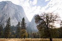 Les montagnes du Yosemite