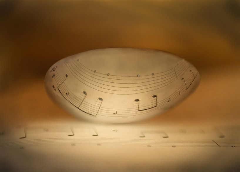 Reflexion von Musiknoten von wh