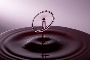 The Shape of Water - Druppel Fotografie