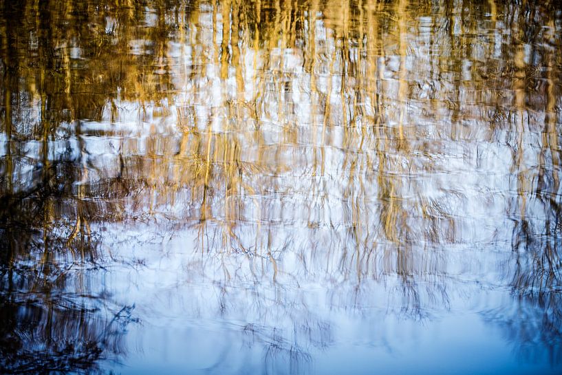 Miroir par Bob Daalder