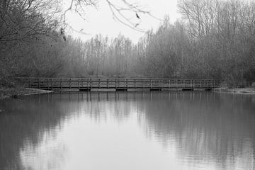 Rustiek beeld in De Ossenwaard van SchumacherFotografie