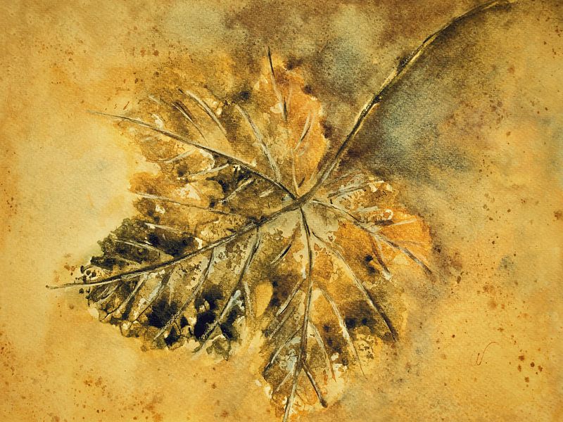 Golden Autumn - Vine Leaf by Christine Nöhmeier