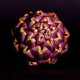 Artisjok in al haar schoonheid