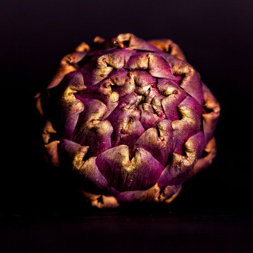 Artisjok in al haar schoonheid