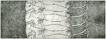The Inner Order, etching