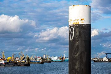 De haven van Lauwersoog van Evert Jan Luchies