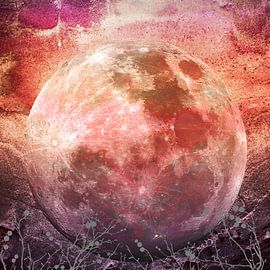 MOON under MAGIC SKY IV-1 by Pia Schneider