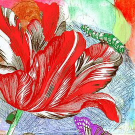 Rote Tulpe modernes Gemälde von Monki's foto shop