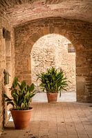Terracotta vases in Ibiza style