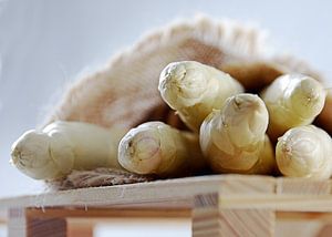 weißer Spargel