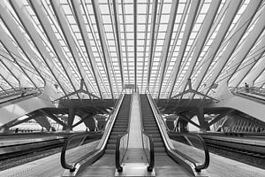 Symmetrie in Guillemins