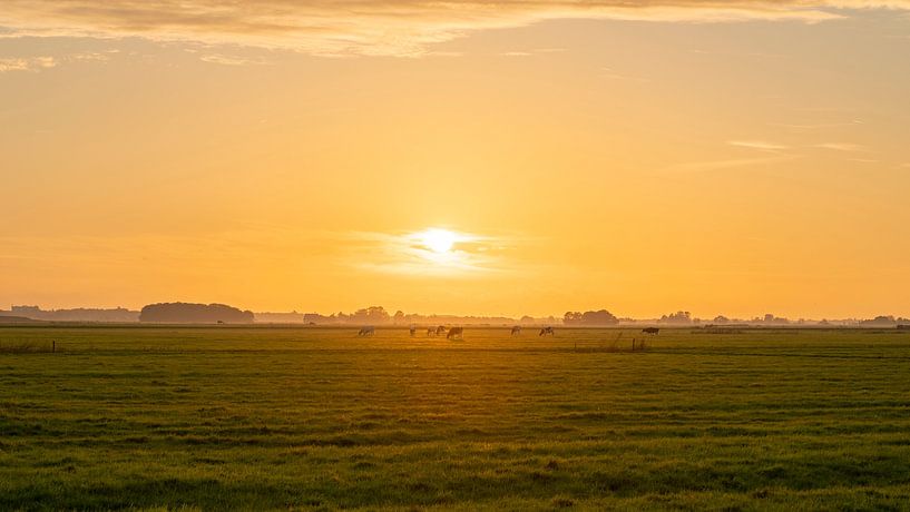 Fryslân par Rebecca den Hertog
