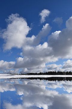 Een veld in de winter onder een bewolkte hemel van Claude Laprise