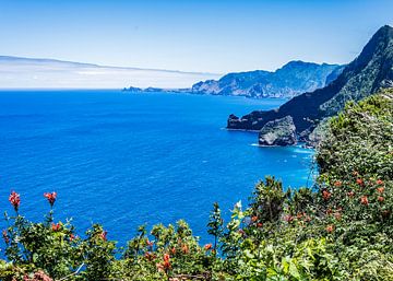 Madeira aan de oceaan van Arie Jan van Termeij