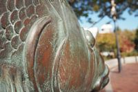 Beeld in park