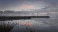 Sonnenaufgang mit tief hängendem Nebel, der sich im Hatertse Vennen spiegelt. von Michel Seelen Miniaturansicht