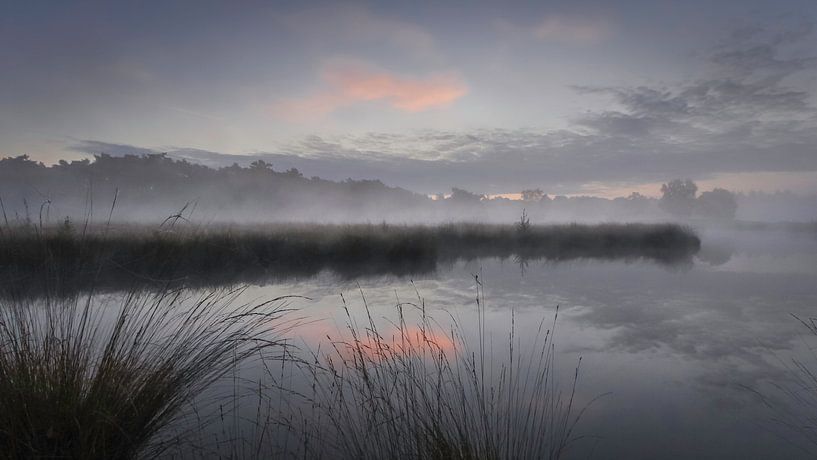 Sonnenaufgang mit tief hängendem Nebel, der sich im Hatertse Vennen spiegelt. von Michel Seelen