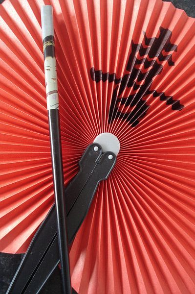 China 2 par Lyn Van Veldhoven