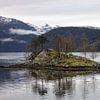 Noorse Fjorden Noorwegen van Ralph van Leuveren