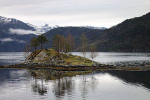 Noorse Fjorden Noorwegen van Ralph van Leuveren