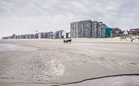 Strand von Nieuwpoort von Harry Schuitemaker Miniaturansicht