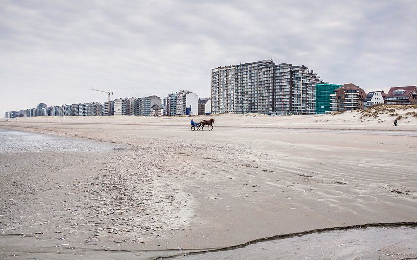 Strand von Nieuwpoort von Harry Schuitemaker