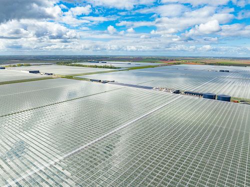 Kas voor het kweken van groenten en bloemen Luchtfoto