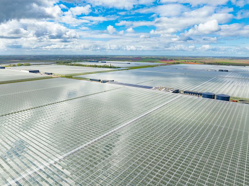 Greenhouse for growing vegetables and flowers aerial view by Sjoerd van der Wal Photography