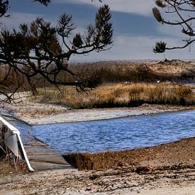 Terschelling, ons Nederlandse paradijs van Annette van Dijk-Leek