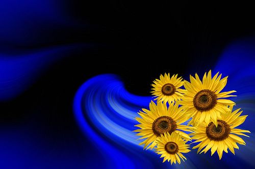 Verschillende zonnebloemen tegen een abstracte achtergrond
