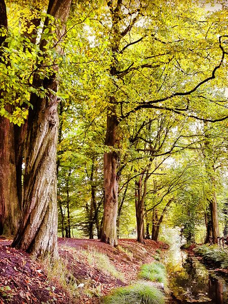 VERDREHTER BAUM von Marije Zuidweg