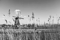 Kinderdijk (Niederlande)