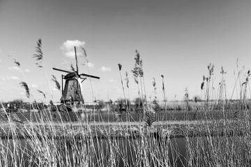 Kinderdijk (Niederlande) von Martijn van den Baar