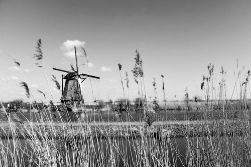 Kinderdijk (Nederland)