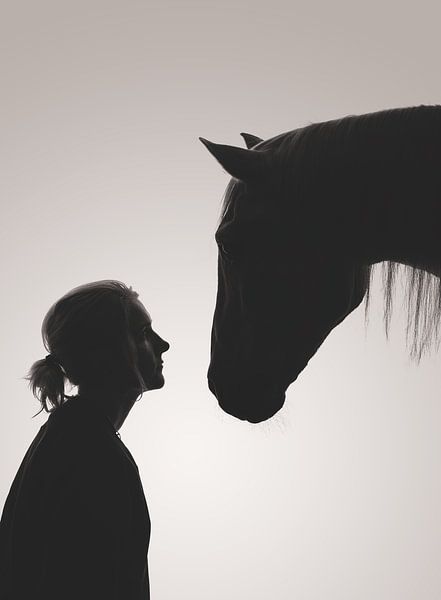 Fine Art silhouette femme et cheval par Yvonne van de Kop