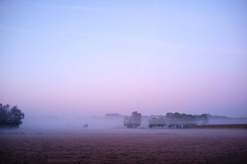 het bossche broek in de nevel (2)