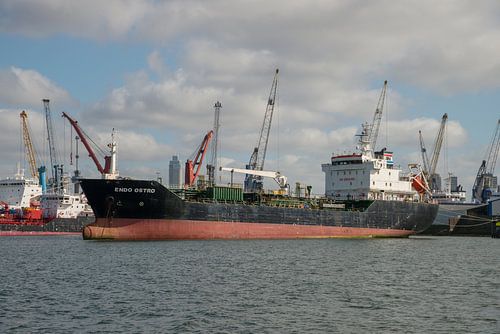 De drukte met schepen in de Waalhaven