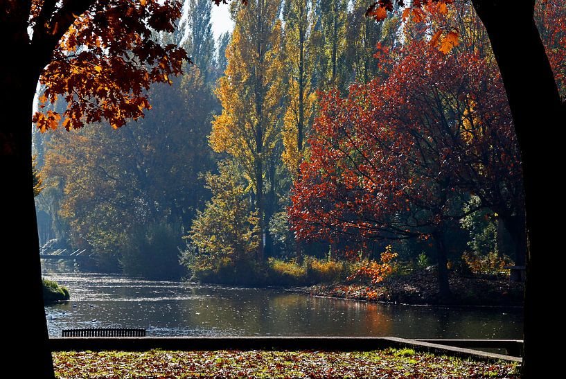 Autumn colours  by Ingrid Hendriks