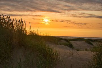 Coucher de soleil dans les dunes de Schoorl sur Tanja Voigt