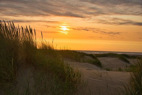 Zonsondergang in de duinen van Schoorl