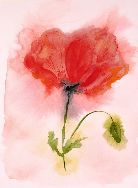 Watercolour part 18 by Tania Perneel