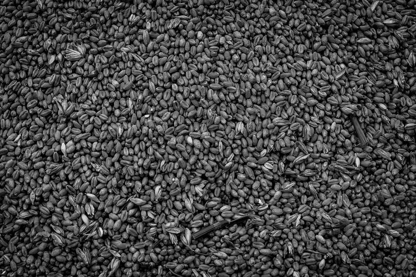 Grain by Dave