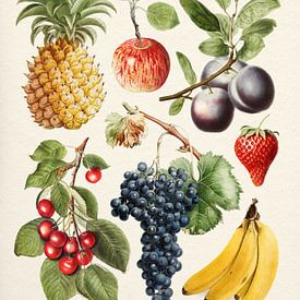 Fruit Collectie van Gal Design