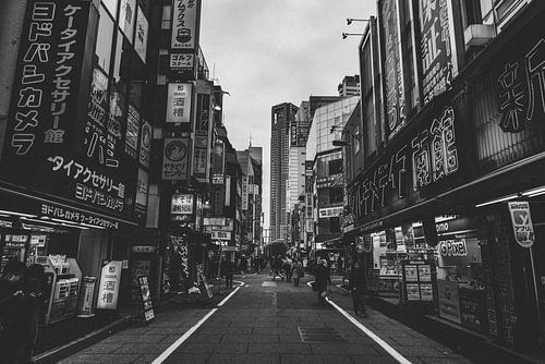 De Hartslag van Tokyo: De Mensen Die de Stad Vormen