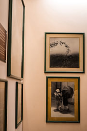 Vintage Museum by Fee van Lavieren