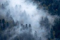 Mist II