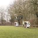 Dug outs bij FC Ter Apel '96 | Over de Bal van Over de Bal thumbnail