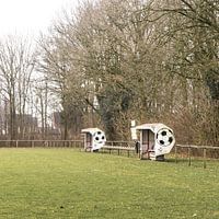 Dug outs bij FC Ter Apel '96 | Over de Bal