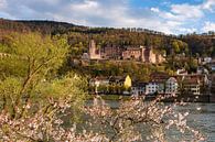 De lente in Heidelberg van Michael Valjak thumbnail